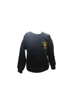 DUMPTON SCHOOL - SWEATSHIRT, RECEPTION-YEAR 2 BOYS