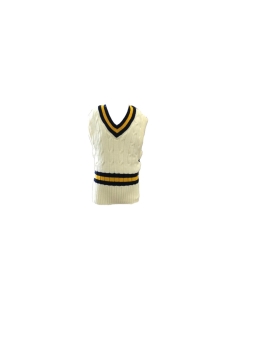 DUMPTON SCHOOL - CRICKET PULLOVER, YEAR 3-7 GIRLS, YEAR 8 BOYS, YEAR 8 GIRLS, YEAR 3-5 BOYS, YEAR 6-7 BOYS
