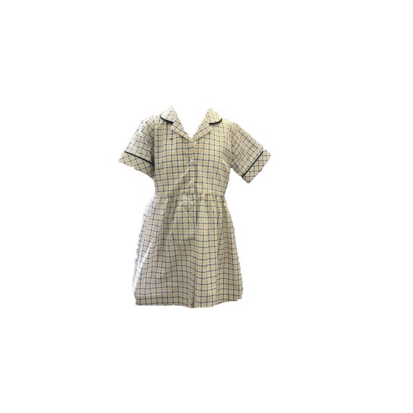 DUMPTON SCHOOL - SUMMER DRESS, NURSERY GIRLS, RECEPTION-YEAR 2 GIRLS