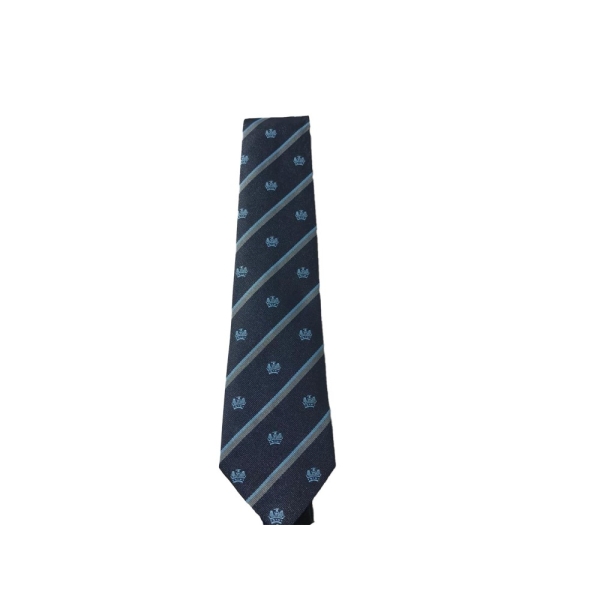 QUEEN ELIZABETH'S SCHOOL - WESSEX BLUE TIE, QUEEN ELIZABETH'S SCHOOL