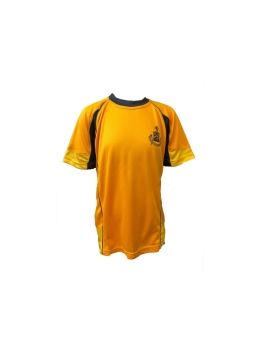 DUMPTON SCHOOL - HOUSE TOP(SUSSEX), YEAR 3-7 GIRLS, YEAR 8 BOYS, YEAR 8 GIRLS, YEAR 3-5 BOYS, YEAR 6-7 BOYS