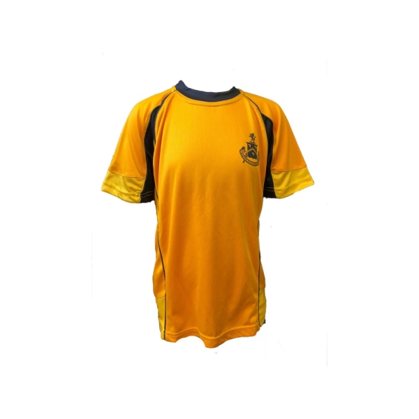 DUMPTON SCHOOL - HOUSE TOP(SUSSEX), YEAR 3-7 GIRLS, YEAR 8 BOYS, YEAR 8 GIRLS, YEAR 3-5 BOYS, YEAR 6-7 BOYS