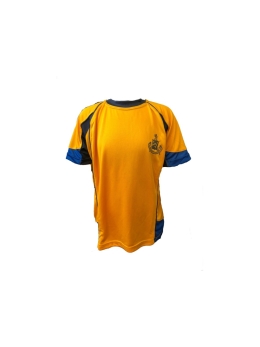 DUMPTON SCHOOL - HOUSE TOP(KENT), YEAR 6-7 BOYS, YEAR 3-7 GIRLS, YEAR 8 BOYS, YEAR 8 GIRLS, YEAR 3-5 BOYS