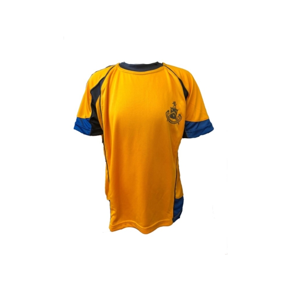 DUMPTON SCHOOL - HOUSE TOP(KENT), YEAR 6-7 BOYS, YEAR 3-7 GIRLS, YEAR 8 BOYS, YEAR 8 GIRLS, YEAR 3-5 BOYS