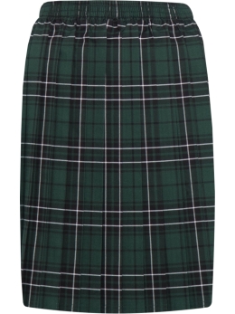 BROADSTONE FIRST SCHOOL - BFS TARTAN SKIRT, BROADSTONE FIRST SCHOOL