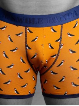 SWOLE PANDA BOXER SHORTS, Underwear