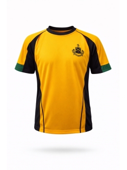 Dumpton - HOUSE TOP(DORSET), Prep School Sports