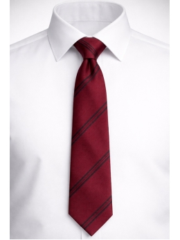 Emmanuel Middle - EMS-NEW-TIE, Emmanuel Middle School