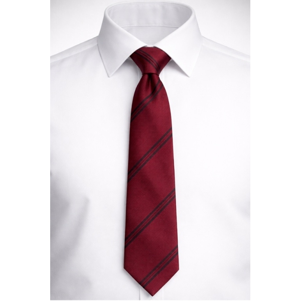 Emmanuel Middle - EMS-NEW-TIE, Emmanuel Middle School