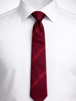 Emmanuel Middle - EMS-NEW-TIE, Emmanuel Middle School